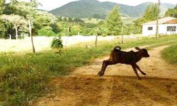 Imagem 6: Sítio com 8 dormitórios à venda, 65582 m² por R$ 3.800.000,00 - Jacaré Cururu - Cabreúva/S