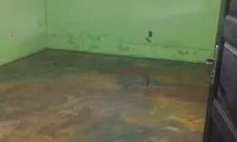 Imagem 5: Aluga-se casa no operário