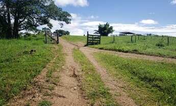 Imagem: Fazenda a Venda em Padre BERNADO - GO