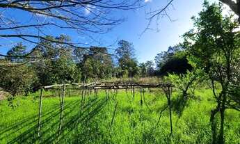 Imagem 7: Chácara + Casa na Boca do Monte