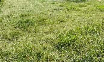 Imagem 4: Lote/Terreno para venda com 600 metros quadrados em Centro - Igaratá - SP