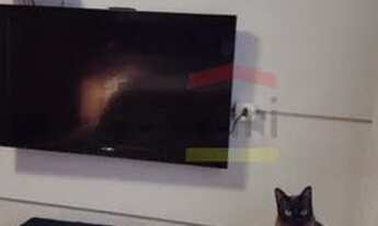 Imagem 5: Apartamento a venda, Barra Funda, Cond. Miami Gardens, 03 dormitórios, 01 vaga