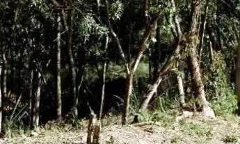 Imagem 2: Terreno a venda em Atibaia no bairro San Fernando Valley com 971m²