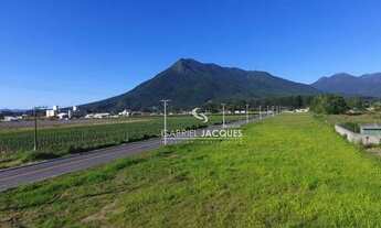 Imagem: Terreno misto e plano com viabilidade para