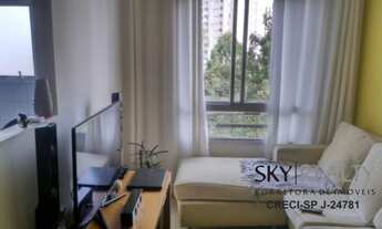 Imagem 3: SAO PAULO - Padrão - Jardim Sabara