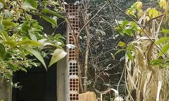 Imagem 3: Lote com casa Casa com 2 dormitórios