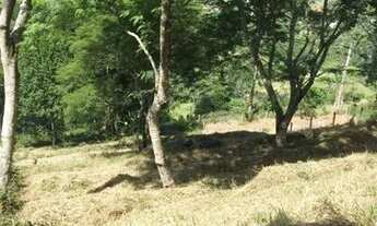 Imagem 5: Terreno COND: ESTRADA REAL 1400MTS