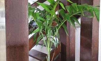 Imagem 5: Casa de 6/4 na Sapetinga