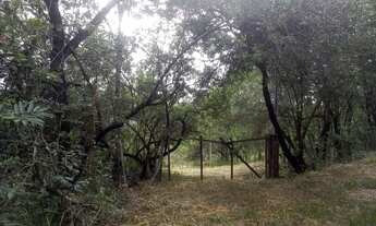 Imagem 7: Terreno de 3 hectares com água