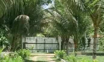 Imagem 2: Sítio 5.000m²: Seu paraíso te espera!