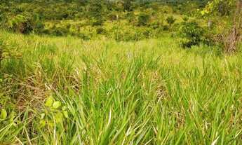Imagem 6: TERRENO À VENDA DE 492ha - AMAJARI