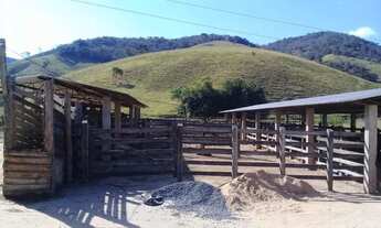 Imagem 6: Venda-se está Fazenda de 91 alqueires em Ipanema /MG