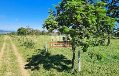 Imagem 9: Fazenda 414 alqueires (2.007 hectares) Caiapônia - Go