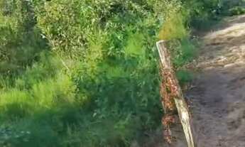 Imagem: Terreno 30x31 Comunidade Boa Fé, ramal