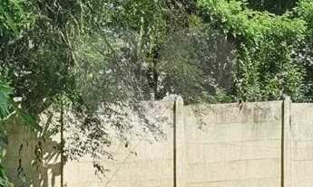 Imagem 7: Terreno para venda tem 480 metros quadrados em Boa Vista - Curitiba - PR