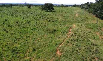 Imagem 5: Fazenda c/ 277he, 140he formados, Agua Fria, Chapada dos Guimarães-MT