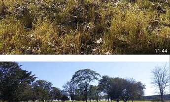 Imagem 2: Fazenda próximo Uberlândia