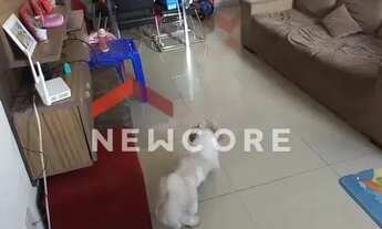 Imagem: Apartamento em Rua Doutor Sílvio Bastos