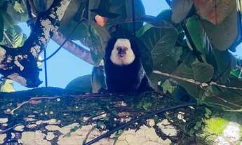 Imagem 4: CASA TEMPORADA em TRANCOSO - BA, TRANCOSO