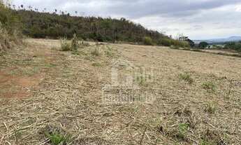 Imagem 5: Fazenda à venda, 56,6 alqueires por R$ 9.000.000 - Zona Rural - São Carlos/SP