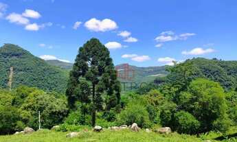 Imagem: Sítio à Venda em Gramado!