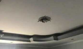 Imagem 7: CASA A VENDA EM ITAPEVI