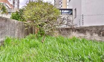 Imagem 6: Terreno à venda em Vila Formosa - SP