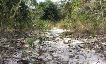 Imagem 4: Terreno AGRO à Venda em Alagoinhas, Bahia