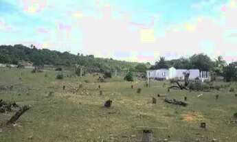 Imagem 3: Terreno à venda, 14000 m² por R$ 800.000,00 - Distrito Industrial - São Gonçalo do Amarant