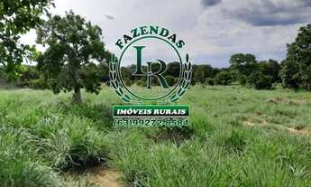 Imagem 3: Fazenda 100 Aqueires Dupla Aptidão Tocantins