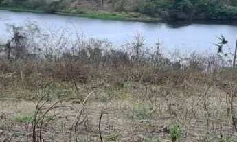 Imagem 7: Excelente fazenda de 6.000t , com sede, curral, represas, poços e pastagem