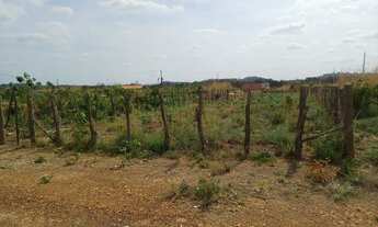Imagem: Lotes na taboca região sudeste 15 mil cadá