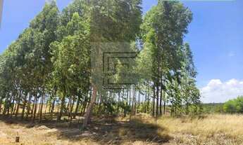 Imagem 6: Lote a venda em Maragogi - Barra Grande