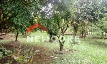 Imagem 7: Chácara em Avenida Nações Unidas - Veraneio Juruá - Suzano/SP