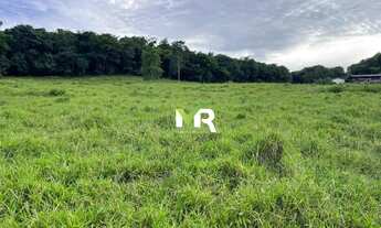 Imagem: Fazenda 32 alqueires a venda Caldas Novas