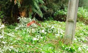 Imagem 2: Lote em Rua 3 do Alpes - Alpes - São Francisco de Paula/RS