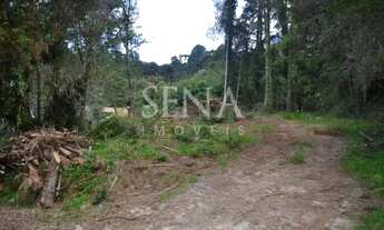 Imagem 6: Terreno / Venda Terreno / lote com venda por R$380.000