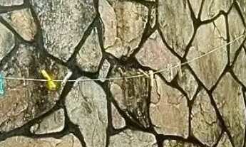 Imagem 7: Casa à venda em rua pública, LUZIA, Aracaju, SE