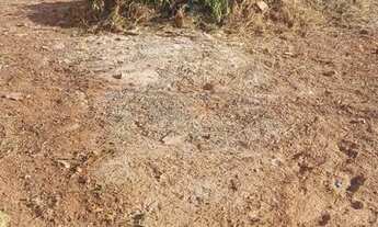 Imagem 3: Lote na Ponte Alta Norte 450 MTS