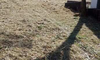 Imagem 6: Terreno à venda em Campinas, Parque Taquaral, com 5116 m²