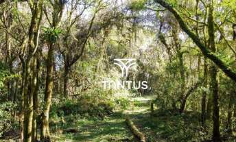 Imagem 4: Chácara à venda, 97074 m² por R$ 1.750.000,00 - Weissópolis - Pinhais/PR