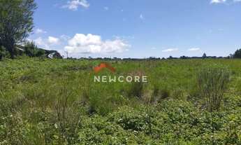 Imagem: Lote em Rua Bracatinga - Colinas - São