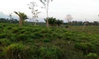 Imagem 5: Terra Fazenda / sítio com venda por R$450.000