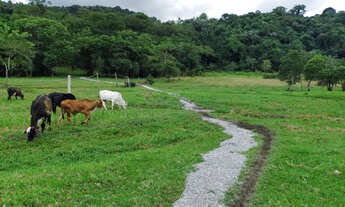 Imagem 7: 20k terreno de 500m2 100% plaino