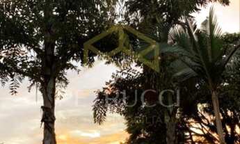 Imagem 7: Chácara - Pederneiras - Mogi Mirim