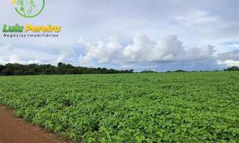 Imagem 3: FAZENDA À VENDA EM BAIXA GRANDE DO RIBEIRO PI - 8.000 HECTARES AGRICULTURA