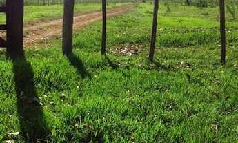 Imagem: FAZENDA À VENDA EM BANDEIRANTES - MS