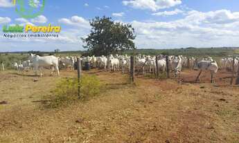 Imagem 6: FAZENDA À VENDA EM VALE DO ARAGUAIA - T0 - 20% DE RESERVA (Dupla Aptidão