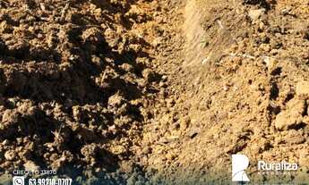 Imagem 5: Fazenda em Taipas do Tocantins TO