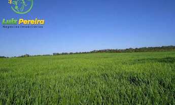 Imagem 5: FAZENDA À VENDA EM VALE DO ARAGUAIA - T0 -DE 247 ALQUEIRÕES (Dupla aptidão